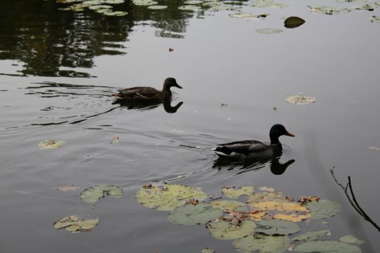 Retour des Enfers [image : JMC]