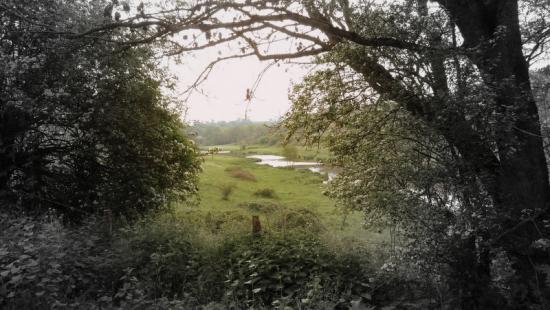 Retour aux Sources [image : JMC]